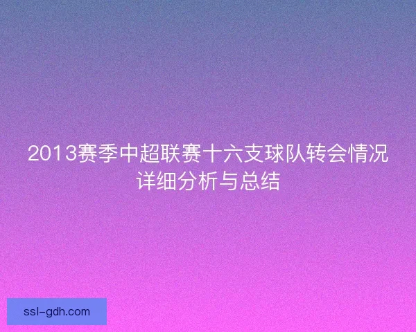 2013赛季中超联赛十六支球队转会情况详细分析与总结