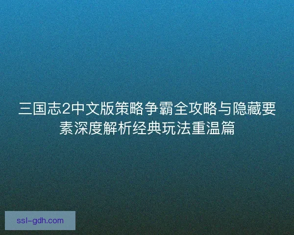 三国志2中文版策略争霸全攻略与隐藏要素深度解析经典玩法重温篇